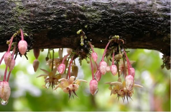 464748067_9066876133362376_6227399518395908672_n